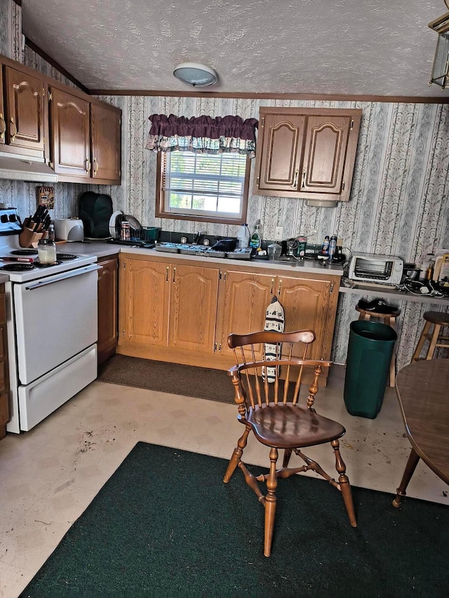 kitchen featuring a textured ceiling, sink, lofted ceiling, and white electric stove