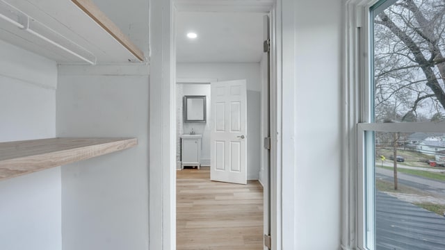 spacious closet with light hardwood / wood-style floors