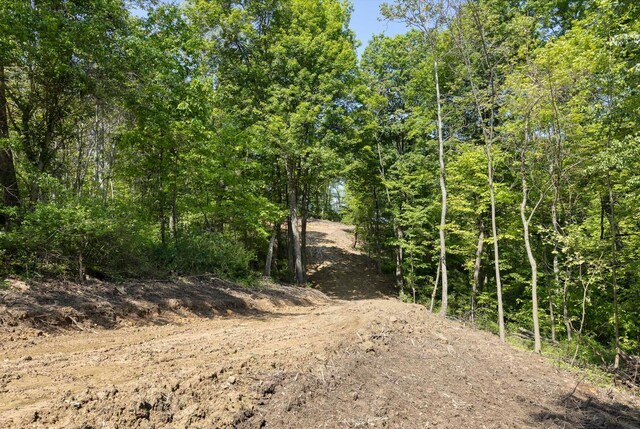 0 Flint Ridge Rd, Hopewell, OH 43746