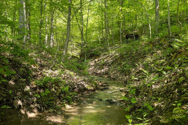 0 Flint Ridge Rd, Hopewell, OH 43746