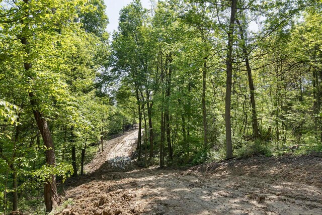 0 Flint Ridge Rd, Hopewell, OH 43746