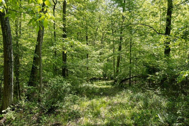 0 Flint Ridge Rd, Hopewell, OH 43746