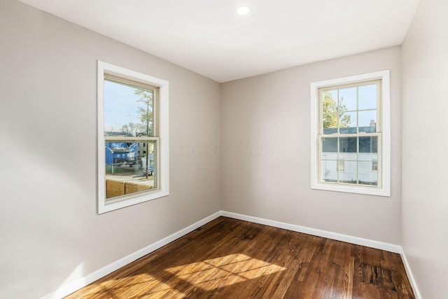 unfurnished room featuring a wealth of natural light and dark wood-type flooring