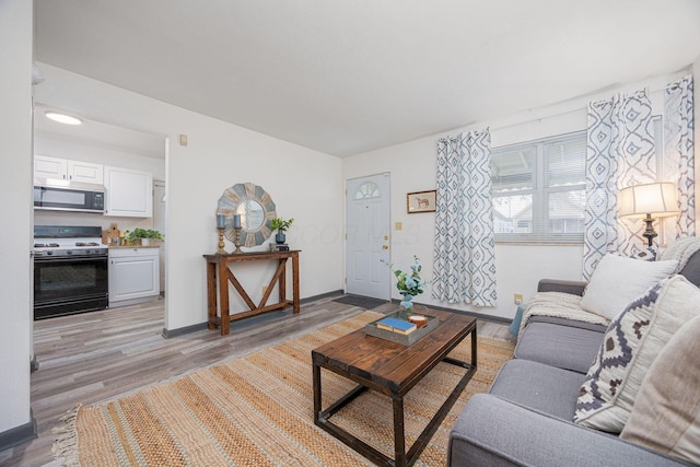 living room with light hardwood / wood-style floors