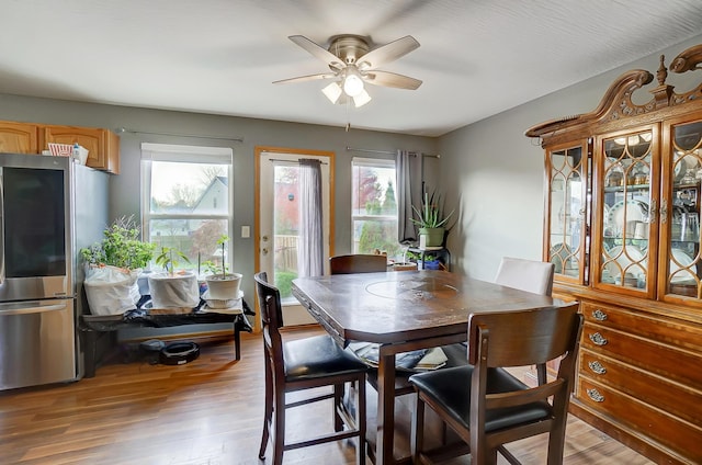 dining space featuring ceiling fan, a healthy amount of sunlight, and light wood-type flooring