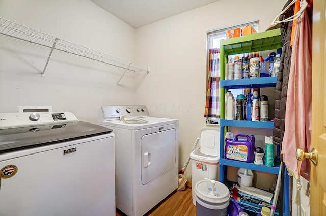 washroom featuring wood-type flooring and washing machine and clothes dryer