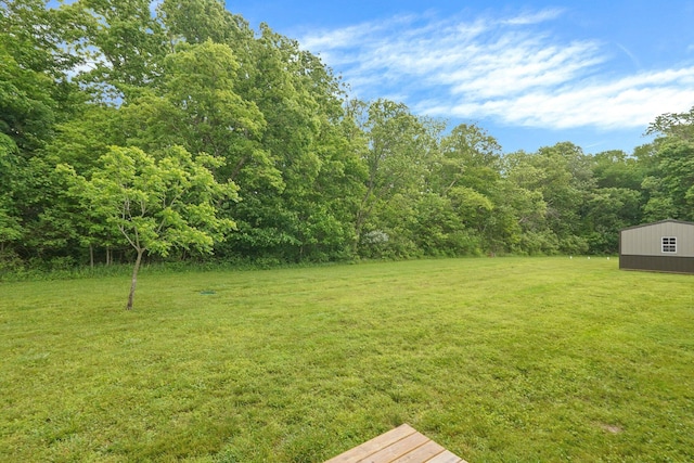 20020 Commercial Point Rd, Circleville, OH 43113 - view of green lawn with a forest view