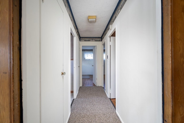 hall featuring carpet and a textured ceiling