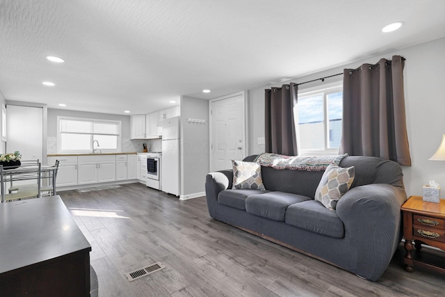 living room featuring dark hardwood / wood-style flooring, a healthy amount of sunlight, a textured ceiling, and sink