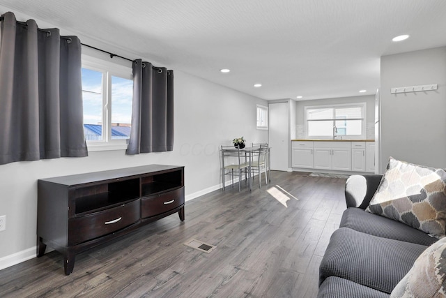 living room with dark hardwood / wood-style floors and sink