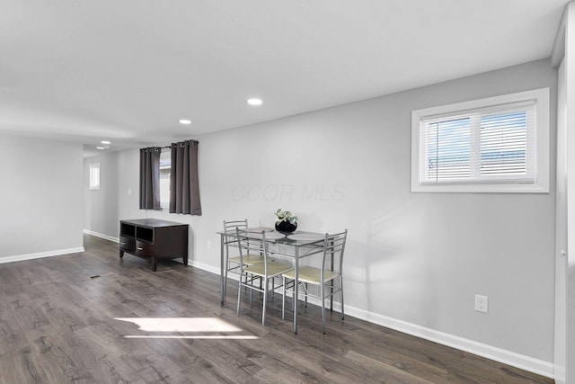 dining room featuring wood-type flooring