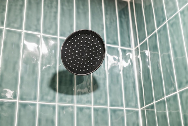 room details featuring walk in shower