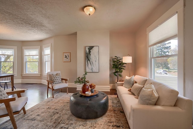 living room with a textured ceiling and dark hardwood / wood-style flooring