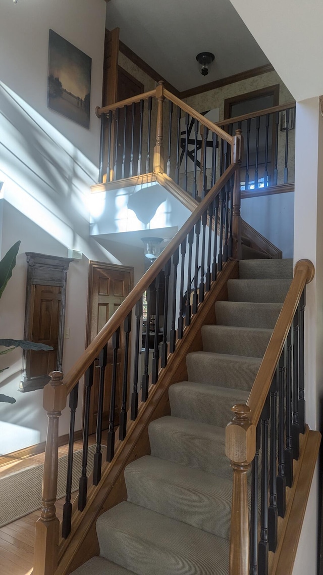 stairway with wood-type flooring