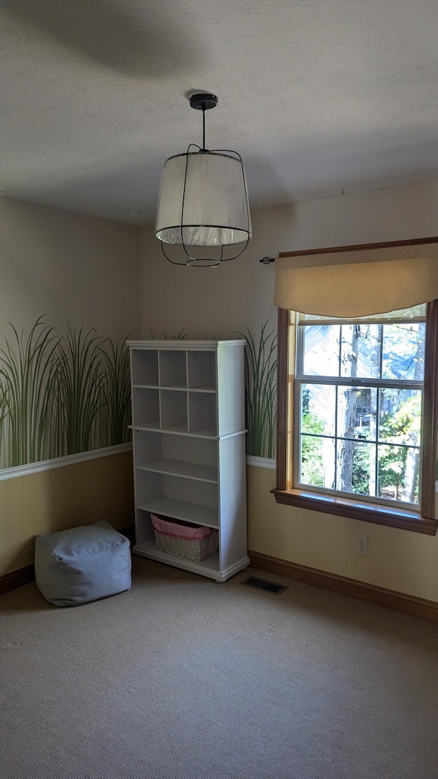 spare room featuring carpet and a textured ceiling