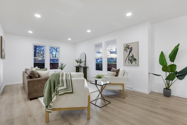 living room featuring a wealth of natural light and light hardwood / wood-style flooring