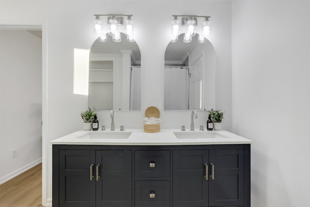 bathroom with wood-type flooring and vanity