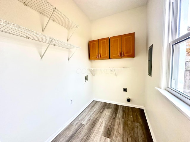 laundry area with a wealth of natural light, hardwood / wood-style floors, washer hookup, and hookup for an electric dryer