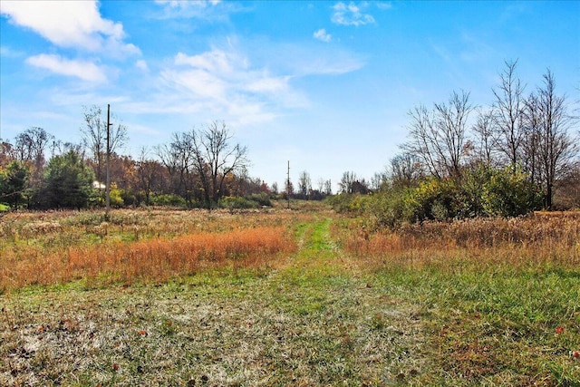 view of landscape featuring a rural view