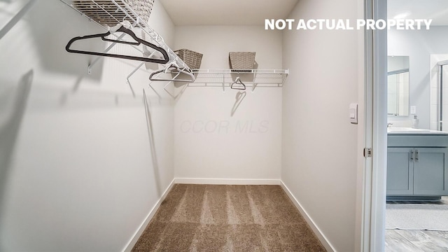 spacious closet featuring light colored carpet