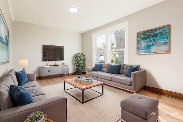 living room with light hardwood / wood-style flooring