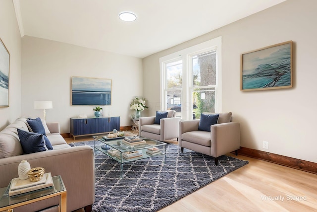 living room featuring wood-type flooring