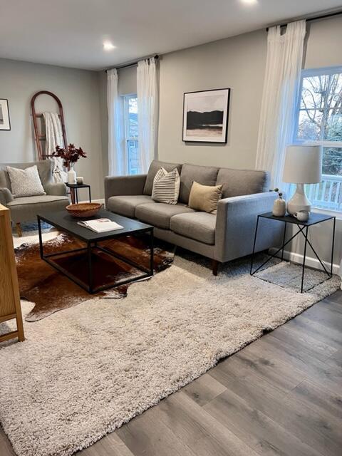 living room with wood-type flooring