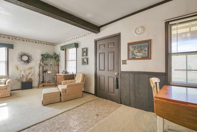 760 Henpeck Rd, Utica, OH 43080 - living area with plenty of natural light, carpet, beam ceiling, and wood walls
