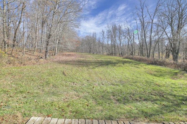 760 Henpeck Rd, Utica, OH 43080 - view of green lawn featuring a view of trees