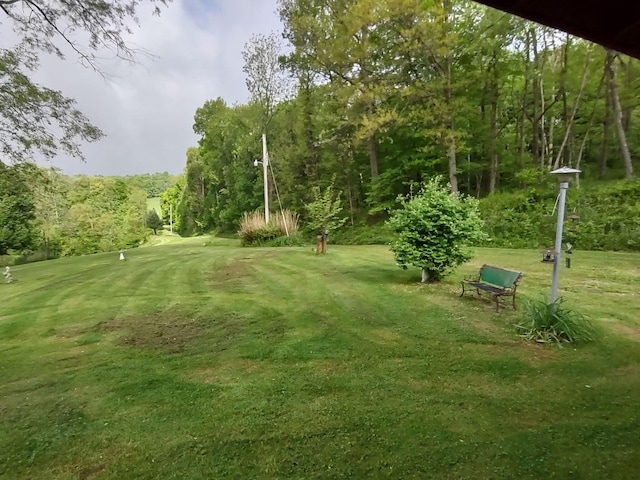 760 Henpeck Rd, Utica, OH 43080 - view of grassy yard