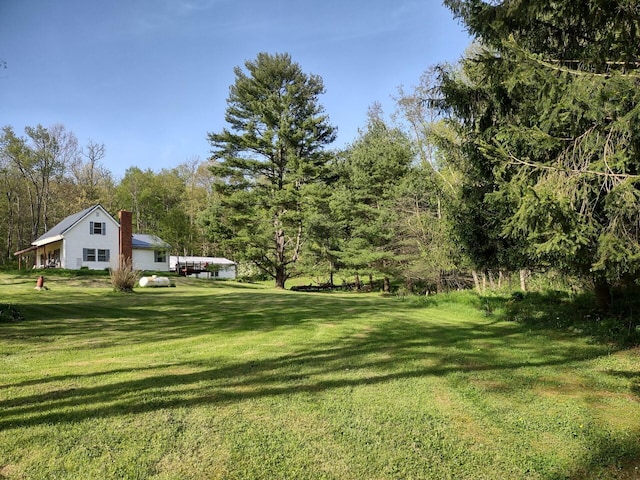760 Henpeck Rd, Utica, OH 43080 - view of grassy yard with a forest view