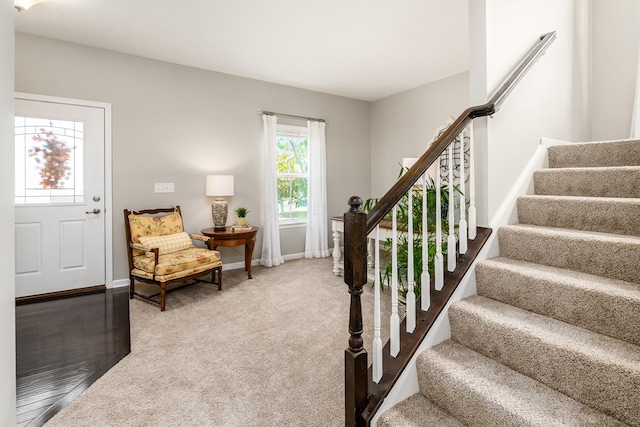 stairway with carpet