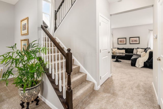 stairs featuring carpet