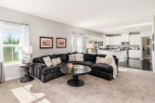 living room with dark hardwood / wood-style flooring