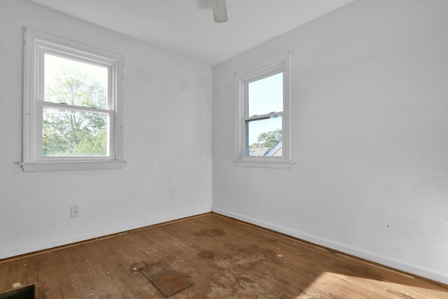 empty room featuring hardwood / wood-style flooring