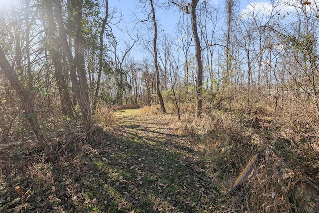 view of local wilderness