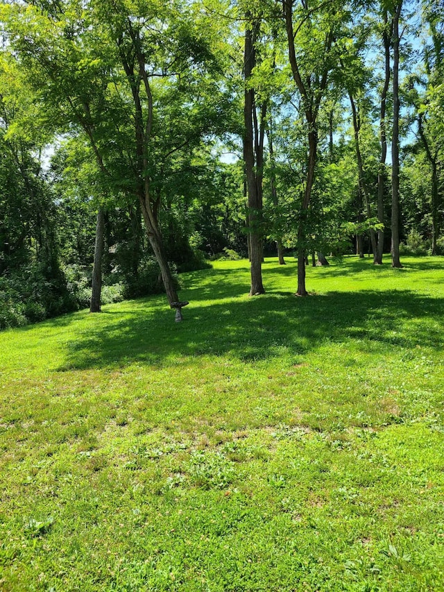 37019 Maysville Greendale Rd, Logan, OH 43138 - photo 3