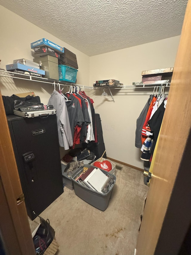 spacious closet with carpet