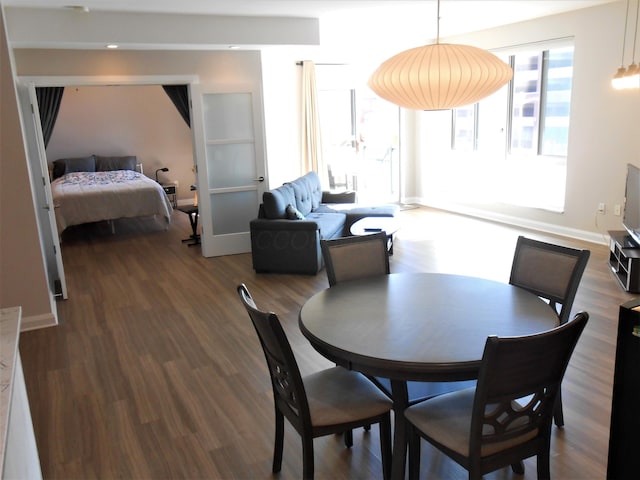 dining room featuring dark wood-type flooring