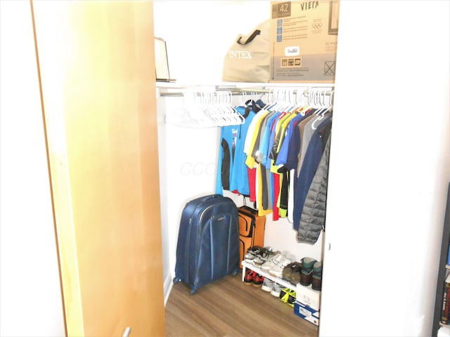 view of closet