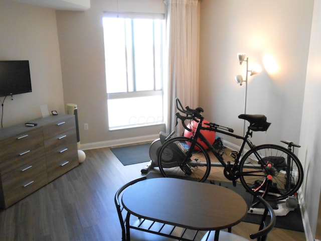 workout room featuring dark hardwood / wood-style floors and plenty of natural light