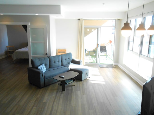 living room featuring hardwood / wood-style floors and a wealth of natural light