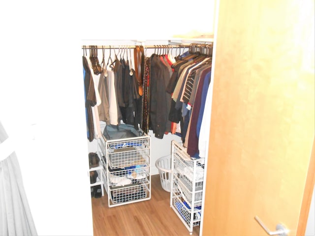 spacious closet with hardwood / wood-style flooring