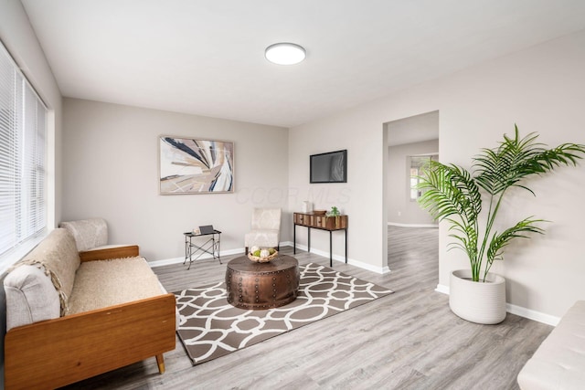 sitting room with wood-type flooring