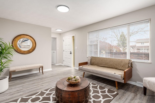 living room featuring hardwood / wood-style flooring