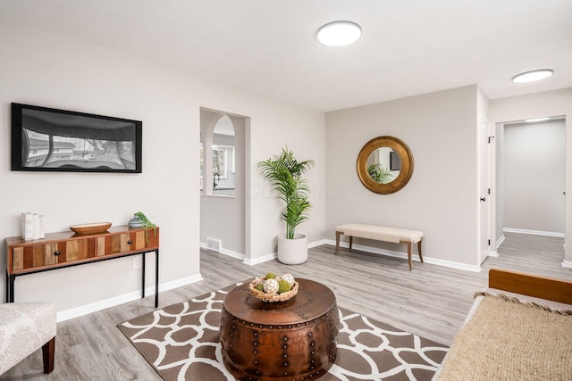 living room with light wood-type flooring