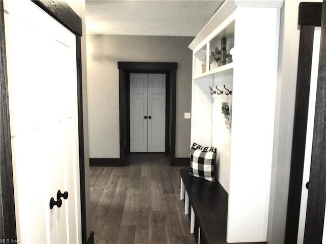 mudroom featuring dark hardwood / wood-style floors