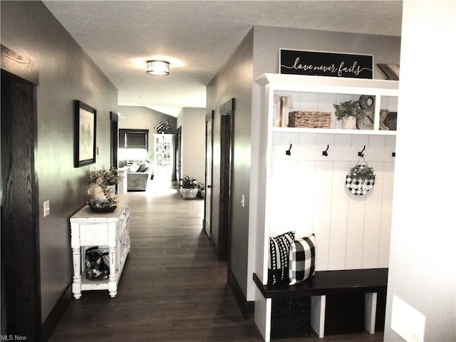 mudroom with dark hardwood / wood-style flooring