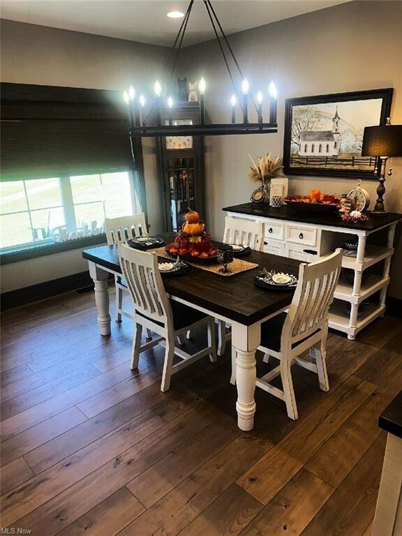 dining room with dark hardwood / wood-style flooring