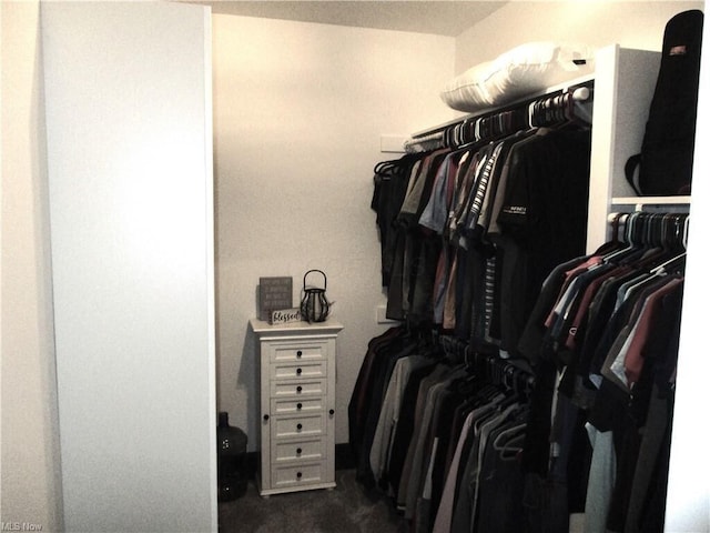 spacious closet with dark carpet